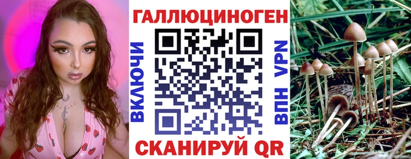 Галлюциногенные грибы Cubensis  Константиновск 